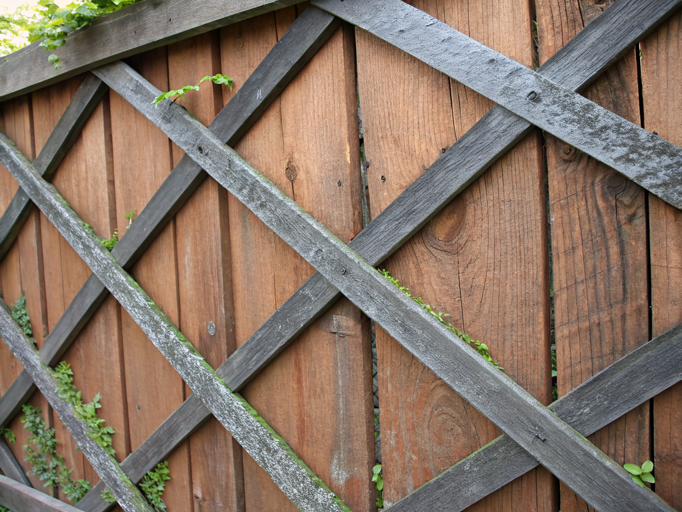 Lattice top fencing texture detail